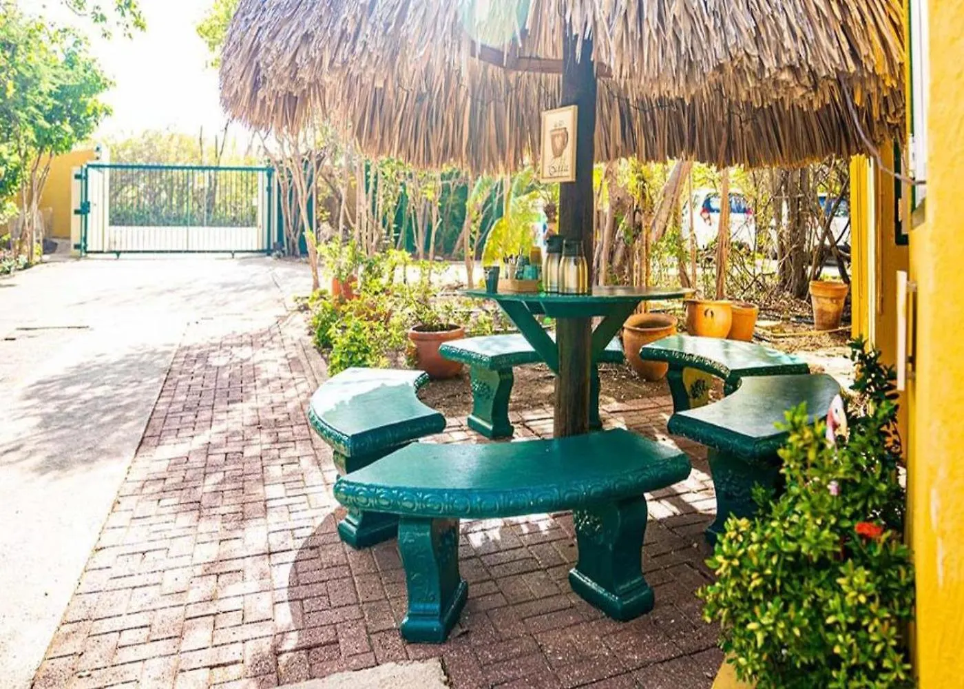 Lägenhet Dream Of The Green Flamingo Willibrordus Curaçao